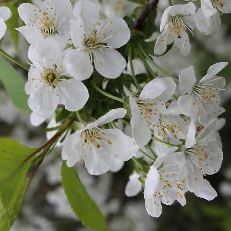 Mit Terrasse In Kropelin Lägenhet *