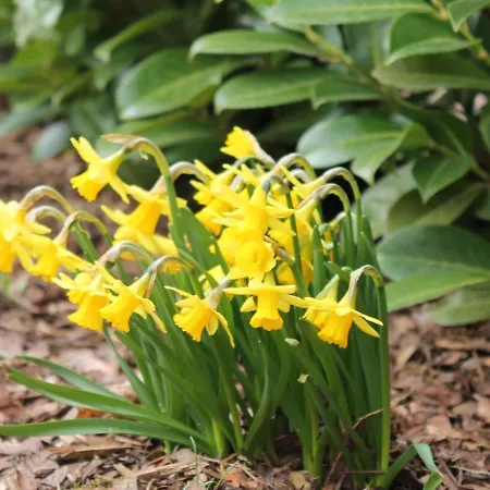 Mit Terrasse In Kropelin Lägenhet Klein Nienhagen