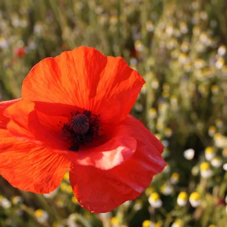 Mit Terrasse In Kropelin Lägenhet Klein Nienhagen