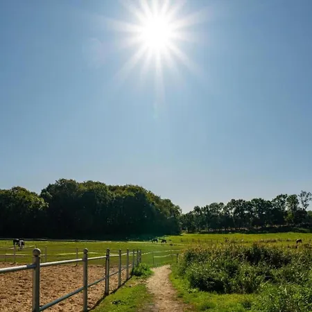 Mit Terrasse In Kropelin * Klein Nienhagen