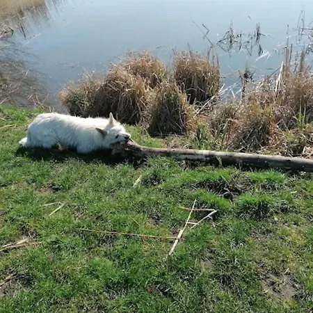 Mit Terrasse In Kropelin Lägenhet