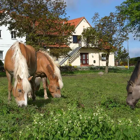 Lägenhet Mit Terrasse In Kropelin Klein Nienhagen