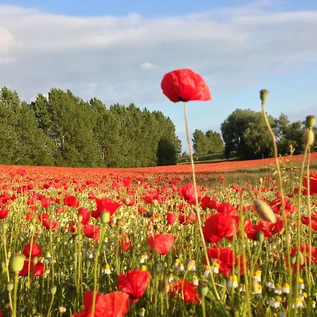 Mit Terrasse In Kropelin *