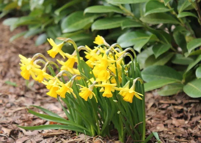 Mit Terrasse In Kropelin Apartment Klein Nienhagen