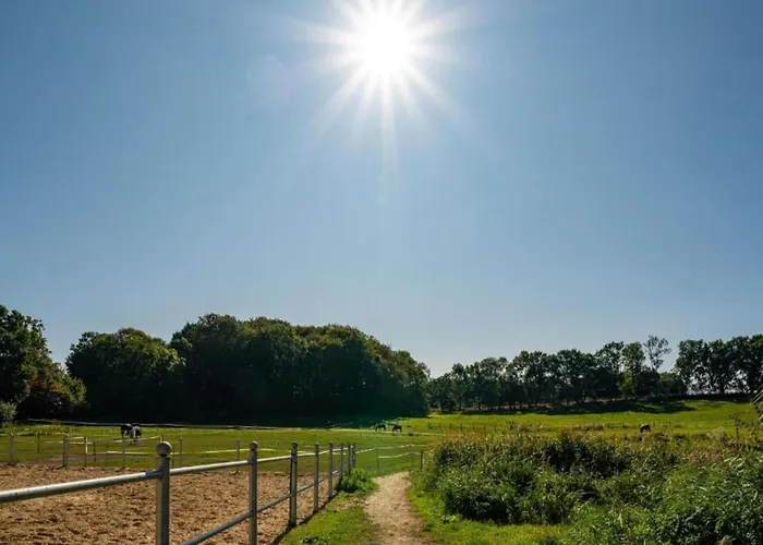 Mit Terrasse In Kropelin * Klein Nienhagen