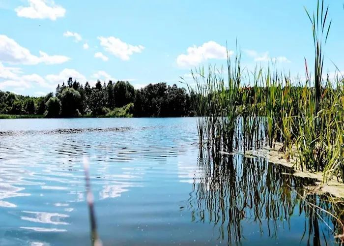 Mit Terrasse In Kropelin Apartment *