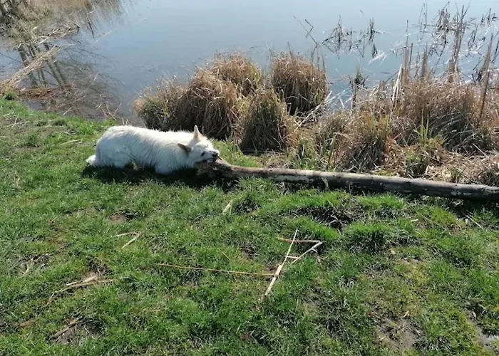 Mit Terrasse In Kropelin Apartment