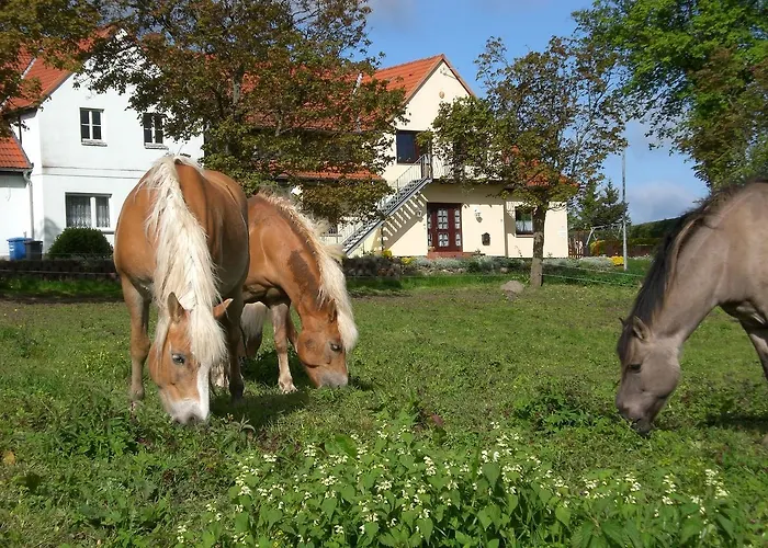 Apartment Mit Terrasse In Kropelin Klein Nienhagen