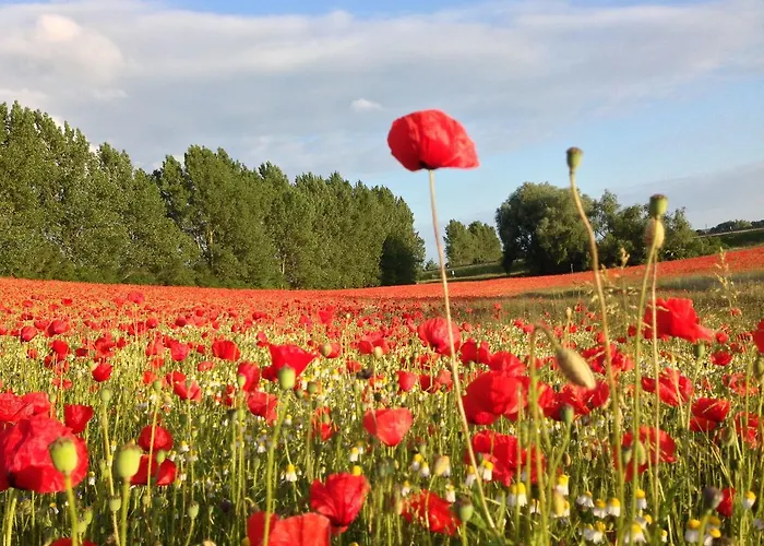 Mit Terrasse In Kropelin *
